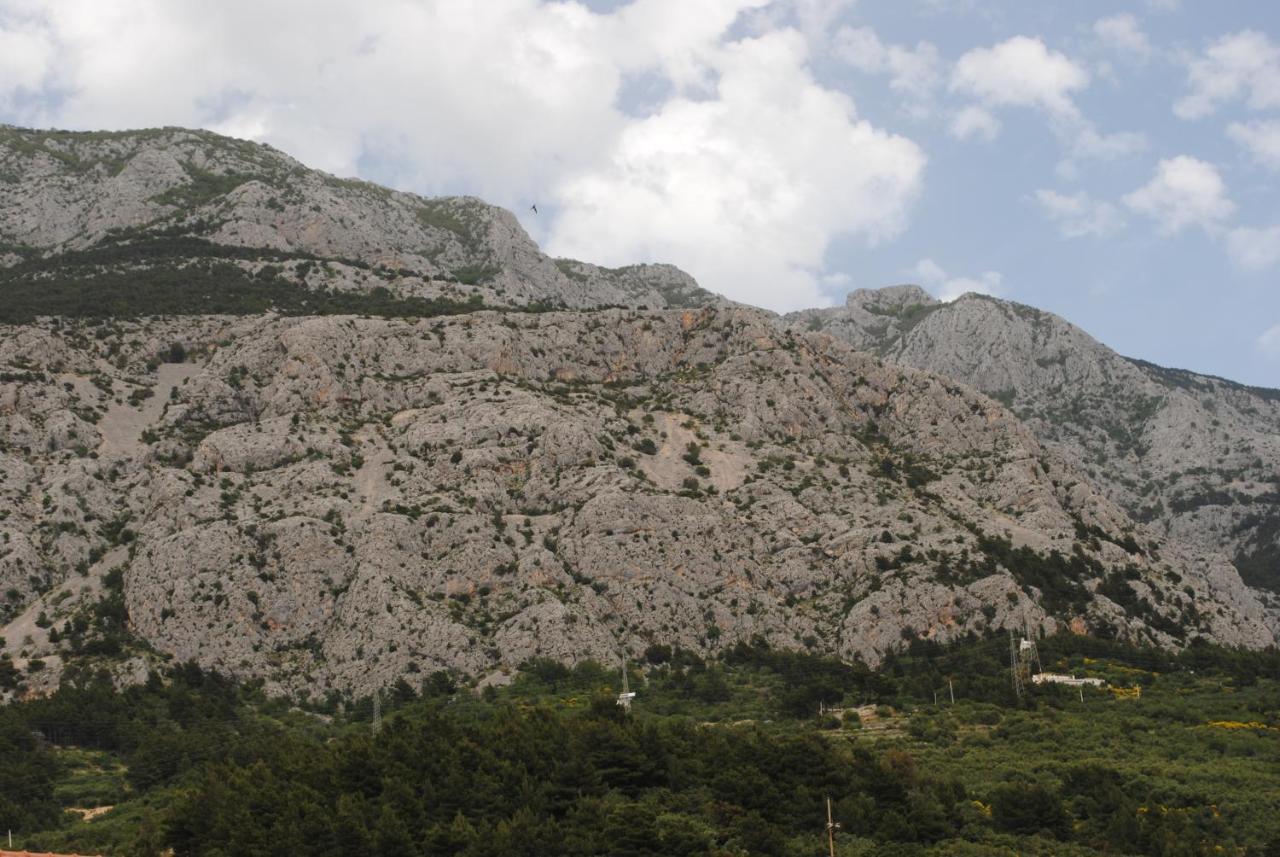 Apartments Natura Makarska Esterno foto